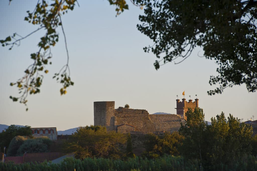 chateau vicomtal