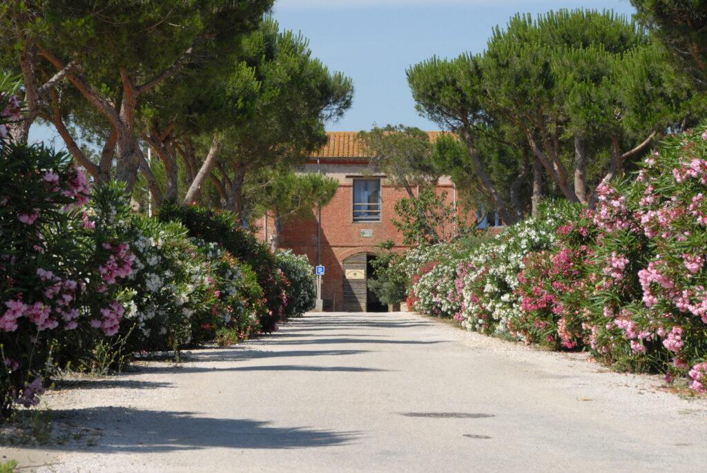 arboretum canet